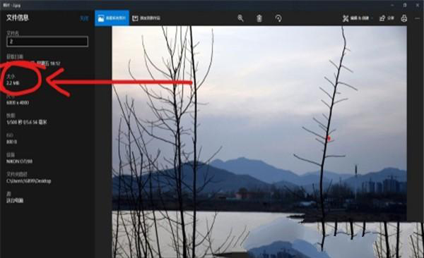 如何使用Photoshop修改圖片的大?。? 第2張
