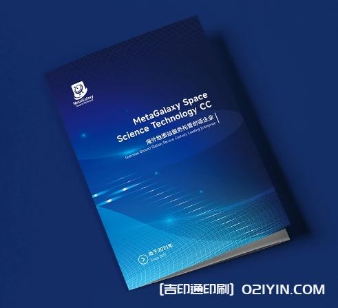 金融保險行業(yè)畫冊設(shè)計印刷  第2張