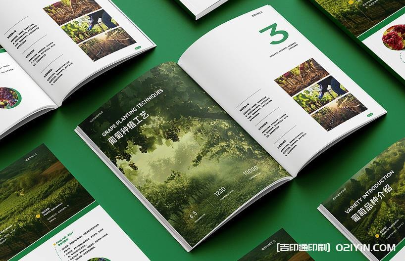 上海企業(yè)畫冊(cè)印刷專家：從設(shè)計(jì)到成品，一站式品質(zhì)服務(wù)