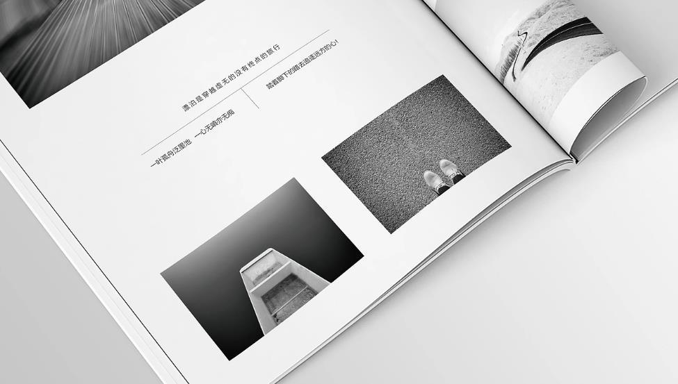 樣本畫冊印刷的材質(zhì)選擇：上海企業(yè)的專業(yè)指南  第1張